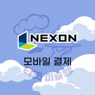 넥슨캐시(핀번호)